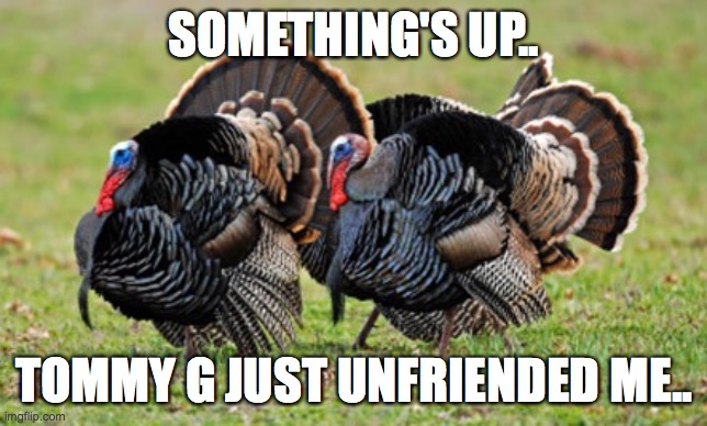Turkey | SOMETHING'S UP.. TOMMY G JUST UNFRIENDED ME.. | image tagged in turkey | made w/ Imgflip meme maker