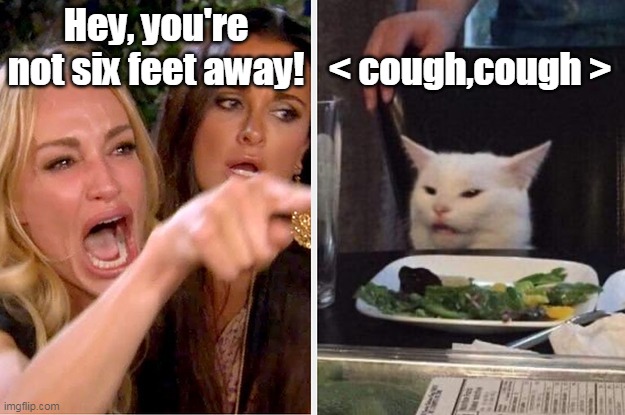 Cat Ignores Social Distancing | Hey, you're not six feet away! < cough,cough > | image tagged in woman yelling at cat,corona virus,social distancing,cough,cat,six feet | made w/ Imgflip meme maker