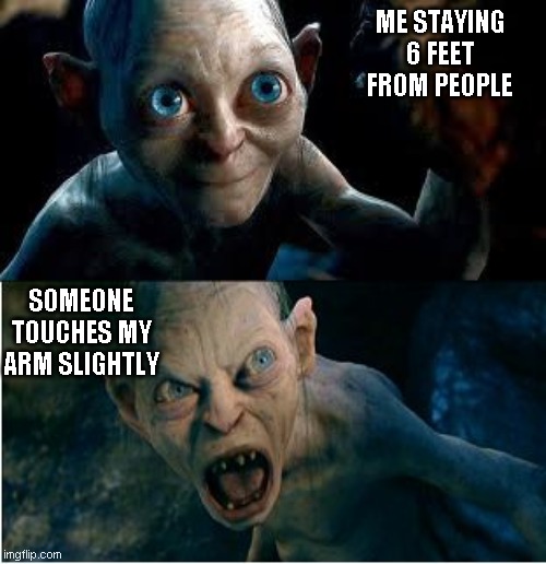 Gollum | ME STAYING 6 FEET FROM PEOPLE; SOMEONE TOUCHES MY ARM SLIGHTLY | image tagged in gollum | made w/ Imgflip meme maker