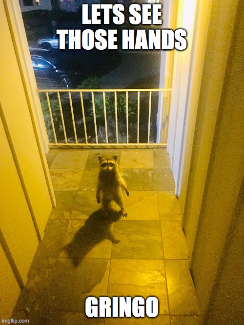 when you're strange | LETS SEE THOSE HANDS; GRINGO | image tagged in weird,crime,the doors,strange | made w/ Imgflip meme maker