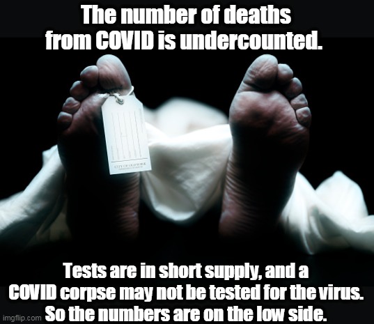 Some overpaid loudmouths suggest with malice and stupidity that the count is too high. Doctors say it's just the opposite. | The number of deaths from COVID is undercounted. Tests are in short supply, and a COVID corpse may not be tested for the virus.
So the numbers are on the low side. | image tagged in dead body corpse feet tag,coronavirus,covid-19,dead,death,count | made w/ Imgflip meme maker