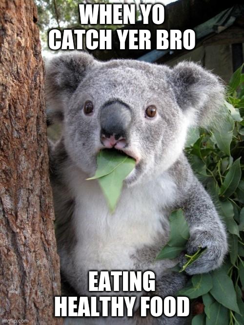 Surprised Koala | WHEN YO CATCH YER BRO; EATING HEALTHY FOOD | image tagged in memes,surprised koala | made w/ Imgflip meme maker