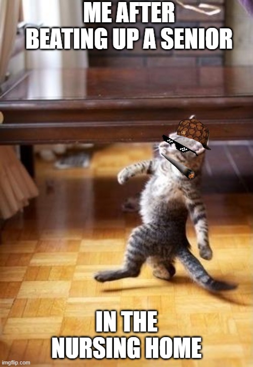 Cool Cat Stroll Meme | ME AFTER BEATING UP A SENIOR; IN THE NURSING HOME | image tagged in memes,cool cat stroll | made w/ Imgflip meme maker
