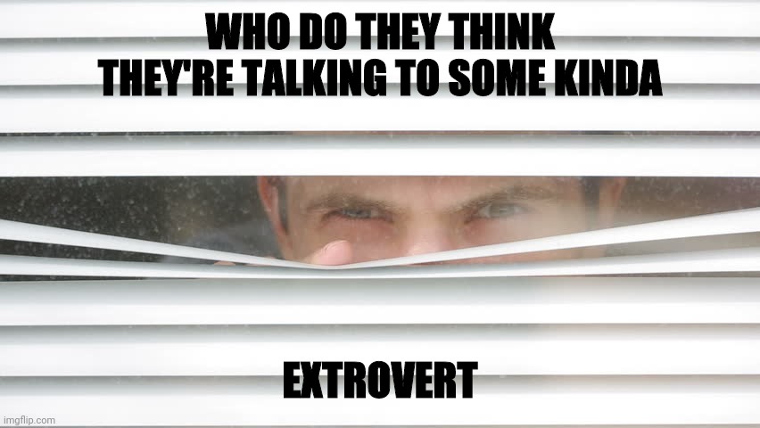 WHO DO THEY THINK THEY'RE TALKING TO SOME KINDA EXTROVERT | made w/ Imgflip meme maker