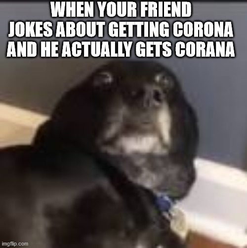 WHEN YOUR FRIEND JOKES ABOUT GETTING CORONA AND HE ACTUALLY GETS CORANA | image tagged in corona | made w/ Imgflip meme maker