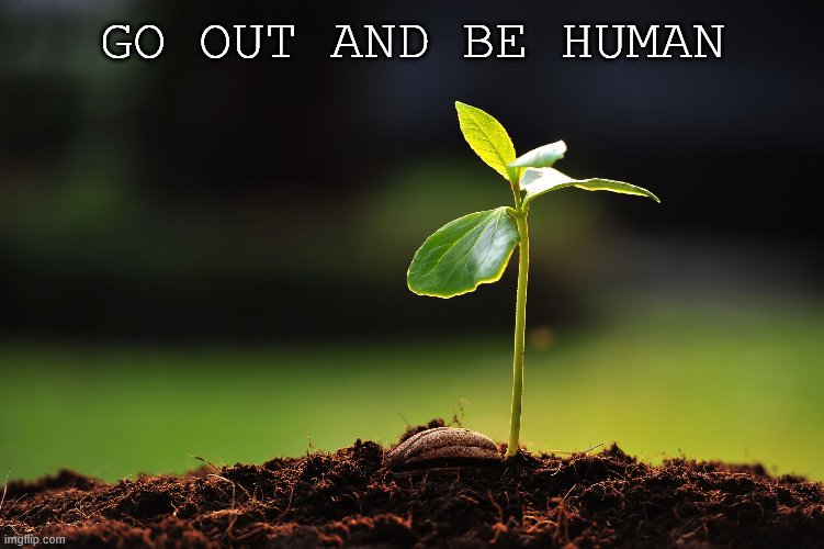 Seedling, 2016 | GO OUT AND BE HUMAN | image tagged in seedling 2016 | made w/ Imgflip meme maker