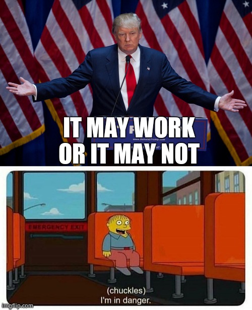 IT MAY WORK OR IT MAY NOT | image tagged in donald trump,ralph in danger | made w/ Imgflip meme maker