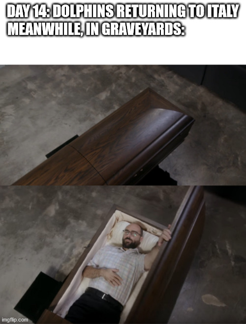 Vsauce opening coffin | DAY 14: DOLPHINS RETURNING TO ITALY; MEANWHILE, IN GRAVEYARDS: | image tagged in vsauce opening coffin | made w/ Imgflip meme maker