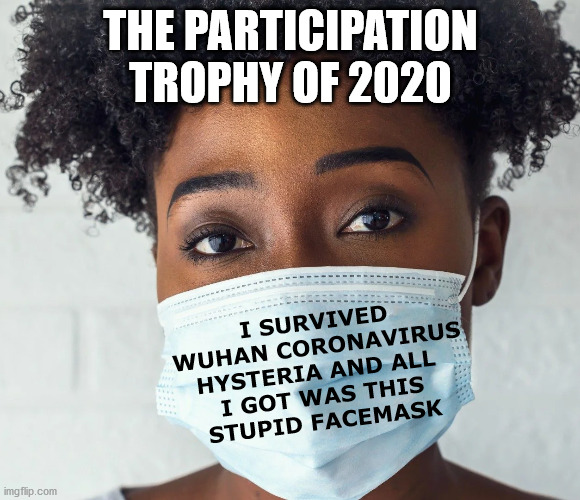 THE PARTICIPATION TROPHY OF 2020; I SURVIVED
WUHAN CORONAVIRUS
HYSTERIA AND ALL 
I GOT WAS THIS
STUPID FACEMASK | image tagged in masks,wuhan,coronavirus,covid-19,fake news | made w/ Imgflip meme maker