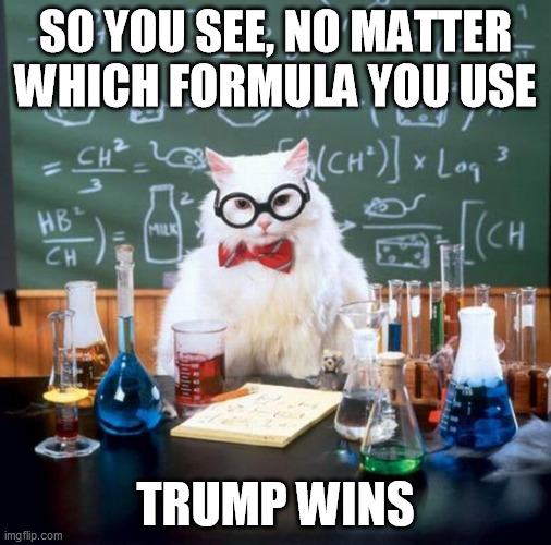 Chemistry Cat Meme | SO YOU SEE, NO MATTER WHICH FORMULA YOU USE; TRUMP WINS | image tagged in memes,chemistry cat | made w/ Imgflip meme maker