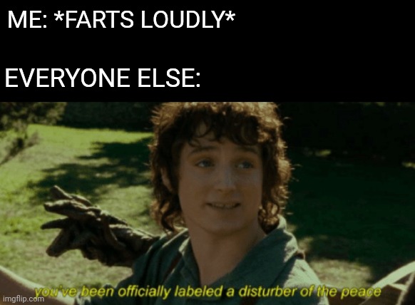 Disturber of the peace LOTR | ME: *FARTS LOUDLY*; EVERYONE ELSE: | image tagged in disturber of the peace lotr | made w/ Imgflip meme maker