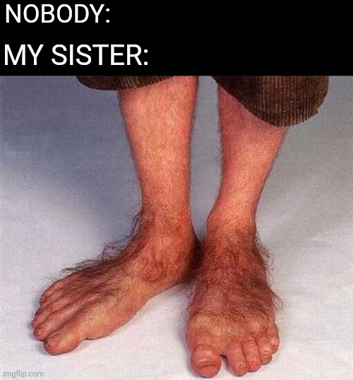 HobbitFeet | NOBODY:; MY SISTER: | image tagged in hobbitfeet | made w/ Imgflip meme maker