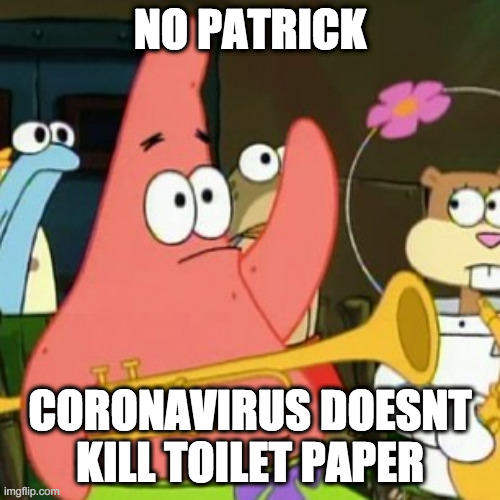 No Patrick Meme | NO PATRICK; CORONAVIRUS DOESNT KILL TOILET PAPER | image tagged in memes,no patrick | made w/ Imgflip meme maker