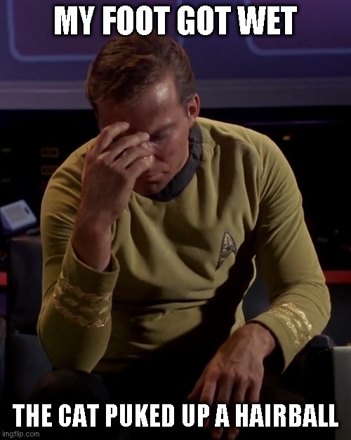Kirk face palm | MY FOOT GOT WET THE CAT PUKED UP A HAIRBALL | image tagged in kirk face palm | made w/ Imgflip meme maker