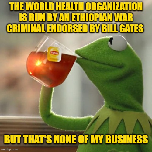 Defund WHO immediately. | THE WORLD HEALTH ORGANIZATION IS RUN BY AN ETHIOPIAN WAR CRIMINAL ENDORSED BY BILL GATES; BUT THAT'S NONE OF MY BUSINESS | image tagged in memes,but that's none of my business,kermit the frog | made w/ Imgflip meme maker