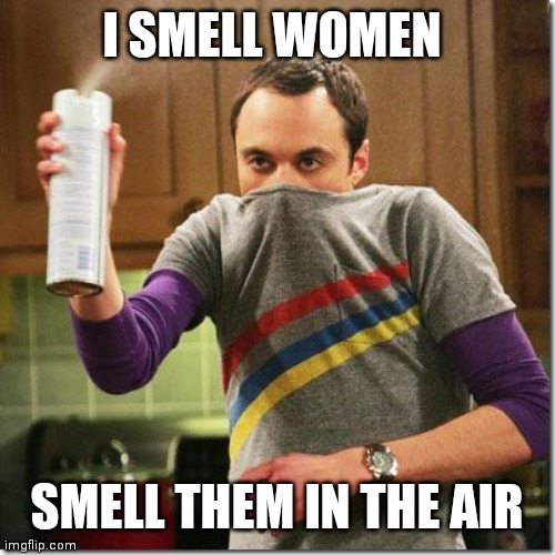 I smell women | I SMELL WOMEN; SMELL THEM IN THE AIR | image tagged in air freshener sheldon cooper,big bang theory,women | made w/ Imgflip meme maker