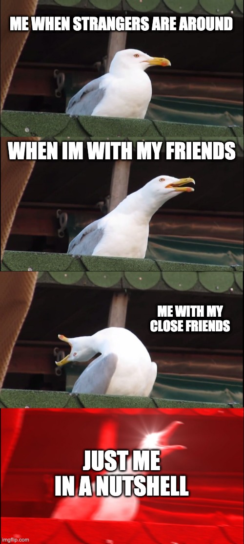 Inhaling Seagull Meme | ME WHEN STRANGERS ARE AROUND; WHEN IM WITH MY FRIENDS; ME WITH MY CLOSE FRIENDS; JUST ME IN A NUTSHELL | image tagged in memes,inhaling seagull | made w/ Imgflip meme maker