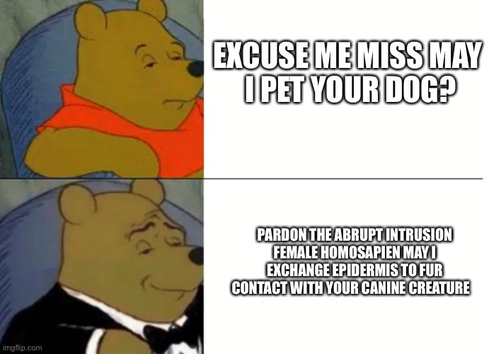 Fancy Winnie The Pooh Meme | EXCUSE ME MISS MAY
 I PET YOUR DOG? PARDON THE ABRUPT INTRUSION FEMALE HOMOSAPIEN MAY I EXCHANGE EPIDERMIS TO FUR CONTACT WITH YOUR CANINE CREATURE | image tagged in fancy winnie the pooh meme | made w/ Imgflip meme maker