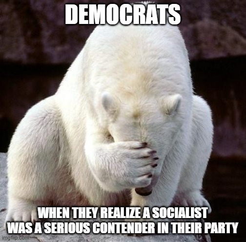 shame | DEMOCRATS WHEN THEY REALIZE A SOCIALIST WAS A SERIOUS CONTENDER IN THEIR PARTY | image tagged in shame | made w/ Imgflip meme maker