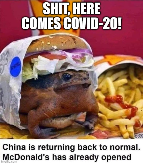 The Next Pandemic | SHIT, HERE COMES COVID-20! | image tagged in corona virus | made w/ Imgflip meme maker