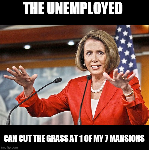 Nancy Pelosi is crazy | THE UNEMPLOYED CAN CUT THE GRASS AT 1 OF MY 7 MANSIONS | image tagged in nancy pelosi is crazy | made w/ Imgflip meme maker
