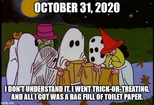 OCTOBER 31, 2020; I DON'T UNDERSTAND IT. I WENT TRICK-OR-TREATING, AND ALL I GOT WAS A BAG FULL OF TOILET PAPER. | made w/ Imgflip meme maker