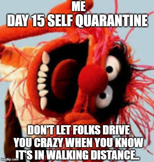 Lalalala!!! | ME; DAY 15 SELF QUARANTINE; DON'T LET FOLKS DRIVE YOU CRAZY WHEN YOU KNOW IT'S IN WALKING DISTANCE.. | image tagged in funny,fun | made w/ Imgflip meme maker