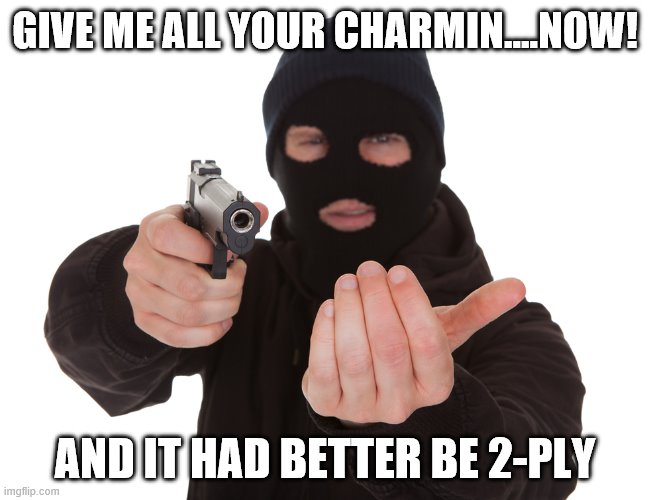 robbery | GIVE ME ALL YOUR CHARMIN….NOW! AND IT HAD BETTER BE 2-PLY | image tagged in robbery | made w/ Imgflip meme maker