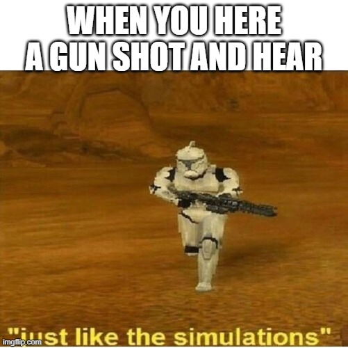 Just like the simulations | WHEN YOU HERE A GUN SHOT AND HEAR | image tagged in just like the simulations | made w/ Imgflip meme maker