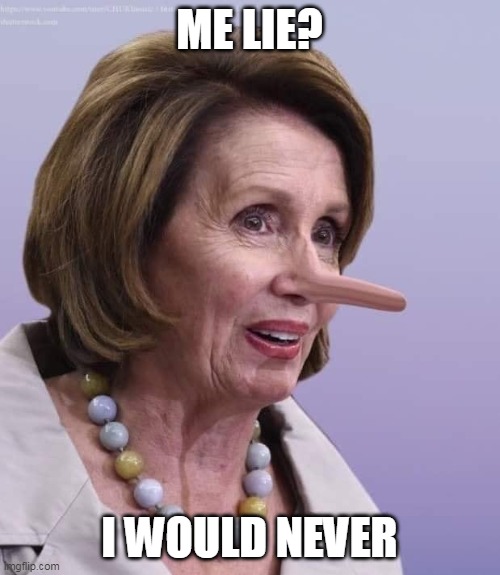 Little Nancy Peloccio | ME LIE? I WOULD NEVER | image tagged in trump 2020 | made w/ Imgflip meme maker