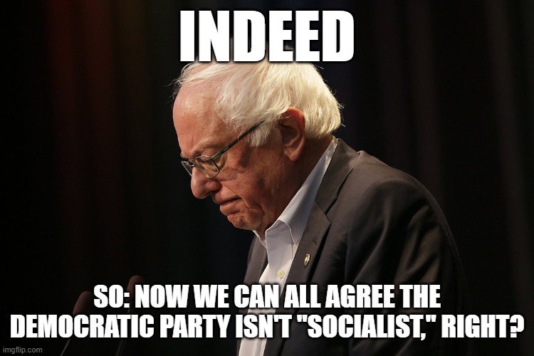 Bernie Sanders’ much-hyped campaign ended with a whimper. Might this say anything about the Democratic Party? | INDEED; SO: NOW WE CAN ALL AGREE THE DEMOCRATIC PARTY ISN'T "SOCIALIST," RIGHT? | image tagged in sad bernie,democratic party,socialism,democrats,election 2020,conservative logic | made w/ Imgflip meme maker