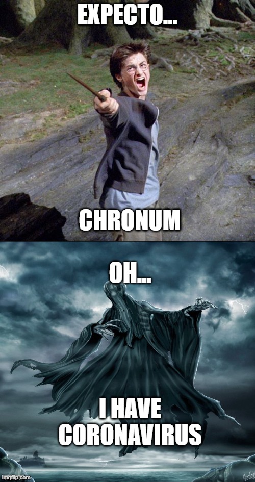 EXPECTO... CHRONUM; OH... I HAVE CORONAVIRUS | image tagged in harry potter | made w/ Imgflip meme maker