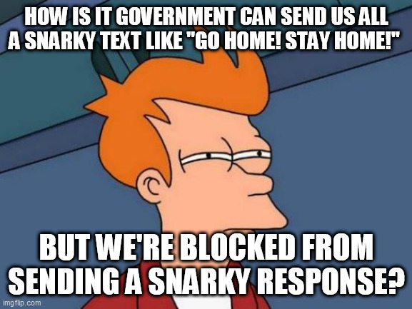 One good snark deserves another | HOW IS IT GOVERNMENT CAN SEND US ALL A SNARKY TEXT LIKE "GO HOME! STAY HOME!"; BUT WE'RE BLOCKED FROM SENDING A SNARKY RESPONSE? | image tagged in memes,futurama fry | made w/ Imgflip meme maker