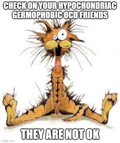 Me Stressed? â€¦ Naaaaaaaa | CHECK ON YOUR HYPOCHONDRIAC GERMOPHOBIC OCD FRIENDS; THEY ARE NOT OK | image tagged in me stressed  naaaaaaaa | made w/ Imgflip meme maker