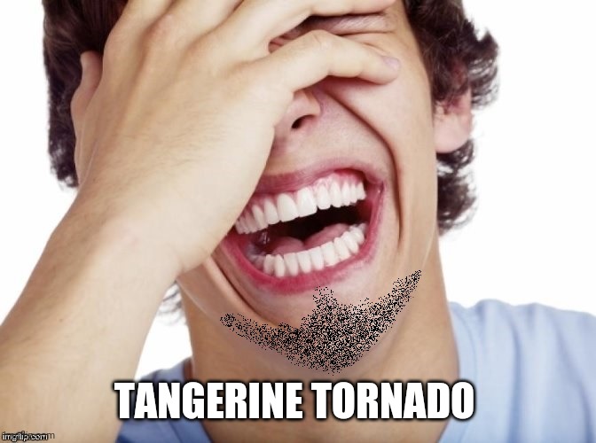 lol | TANGERINE TORNADO | image tagged in lol | made w/ Imgflip meme maker