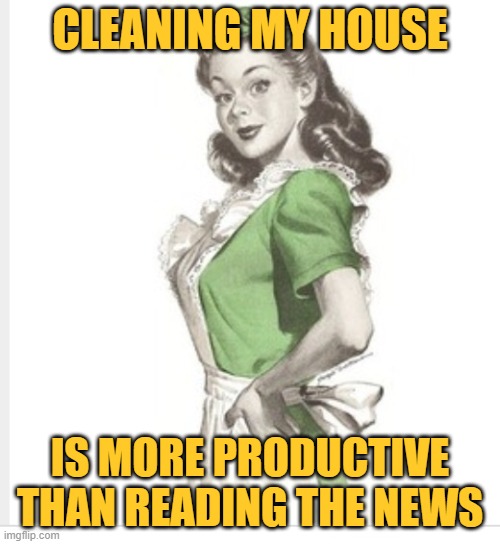 The Productive Housewife | CLEANING MY HOUSE; IS MORE PRODUCTIVE THAN READING THE NEWS | image tagged in 50's housewife,cleaning,housework,life lessons,mainstream media,news | made w/ Imgflip meme maker