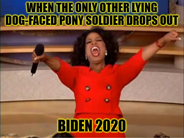 Oprah You Get A | WHEN THE ONLY OTHER LYING DOG-FACED PONY SOLDIER DROPS OUT; BIDEN 2020 | image tagged in memes,oprah you get a | made w/ Imgflip meme maker