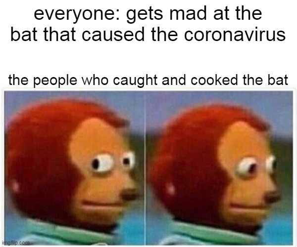 Monkey Puppet Meme | everyone: gets mad at the bat that caused the coronavirus; the people who caught and cooked the bat | image tagged in memes,monkey puppet | made w/ Imgflip meme maker