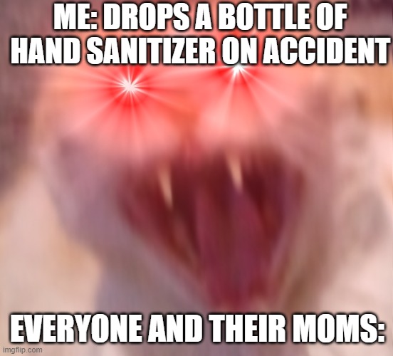ME: DROPS A BOTTLE OF HAND SANITIZER ON ACCIDENT; EVERYONE AND THEIR MOMS: | image tagged in cats,memes,fun,coronavirus | made w/ Imgflip meme maker