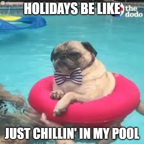 JUST CHILLIN | HOLIDAYS BE LIKE; JUST CHILLIN' IN MY POOL | image tagged in dog,pool,dog in floaty | made w/ Imgflip meme maker