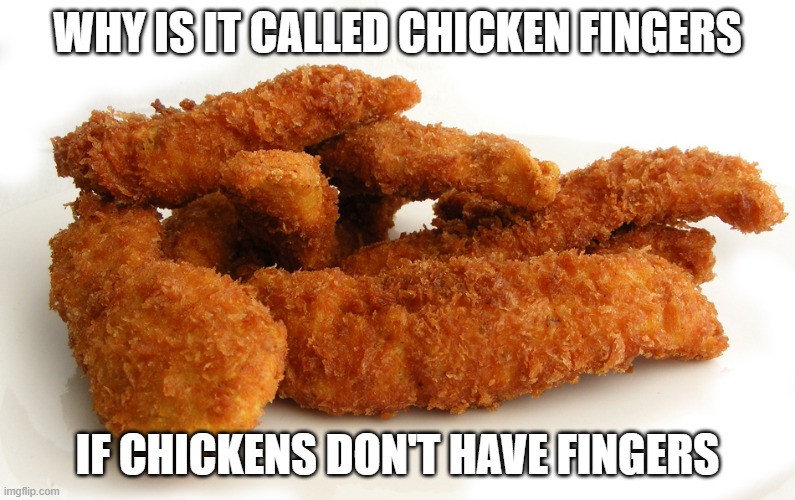 WHY IS IT CALLED CHICKEN FINGERS; IF CHICKENS DON'T HAVE FINGERS | image tagged in chicken,memes,fun,reeeeeeeeeeeeeeeeeeeeee | made w/ Imgflip meme maker