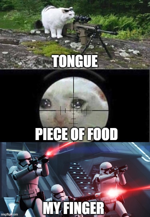 TONGUE; PIECE OF FOOD; MY FINGER | image tagged in sniper cat aim crying cat,dankmemes | made w/ Imgflip meme maker