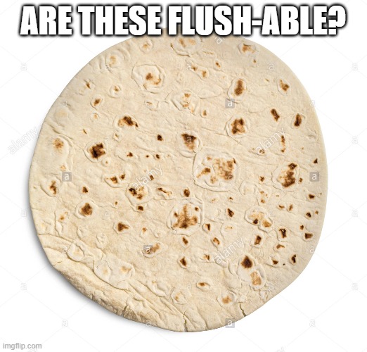 ARE THESE FLUSH-ABLE? | image tagged in coronavirus,toilet paper,raydog,dashhopes,imma get famous because i put the two most famous imgflip people for my tags,this is a | made w/ Imgflip meme maker
