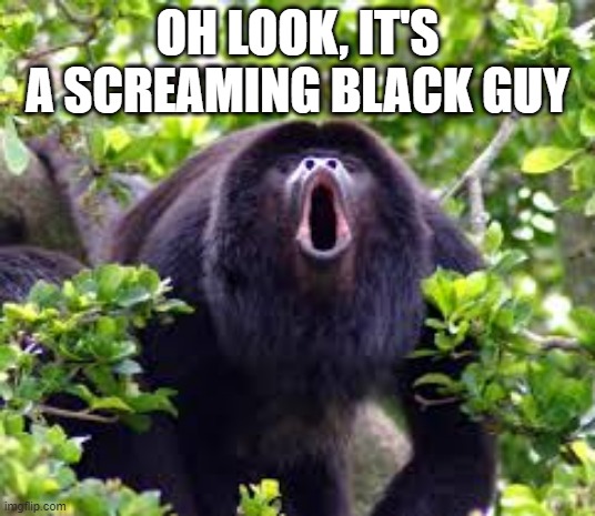 That's Racist | OH LOOK, IT'S A SCREAMING BLACK GUY | image tagged in howler monkey | made w/ Imgflip meme maker