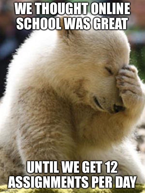 Facepalm Bear | WE THOUGHT ONLINE SCHOOL WAS GREAT; UNTIL WE GET 12 ASSIGNMENTS PER DAY | image tagged in memes,facepalm bear | made w/ Imgflip meme maker