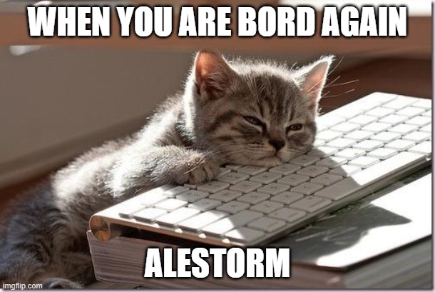 Oh the sides, in stitches | WHEN YOU ARE BORD AGAIN; ALESTORM | image tagged in bored keyboard cat,bored,coronavirus,fun,entertainment,drink | made w/ Imgflip meme maker