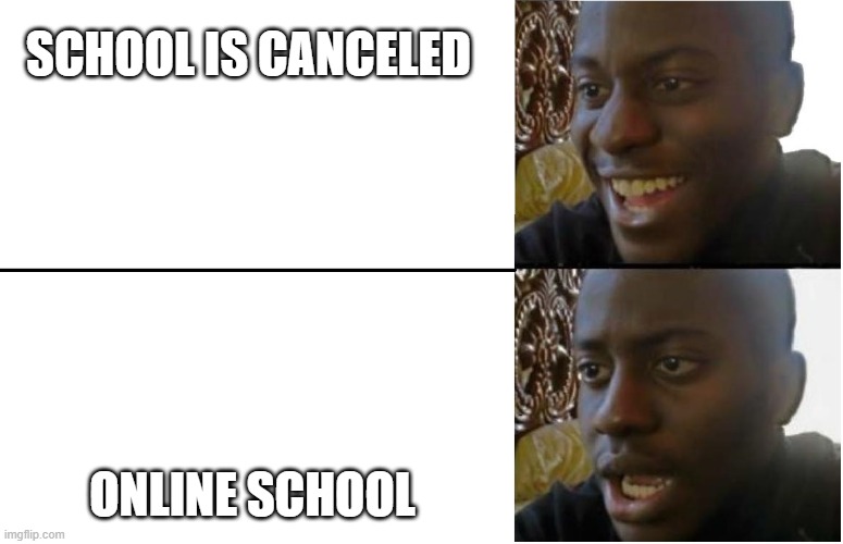 ups and downs | SCHOOL IS CANCELED; ONLINE SCHOOL | image tagged in coronavirus,depression sadness hurt pain anxiety,school | made w/ Imgflip meme maker