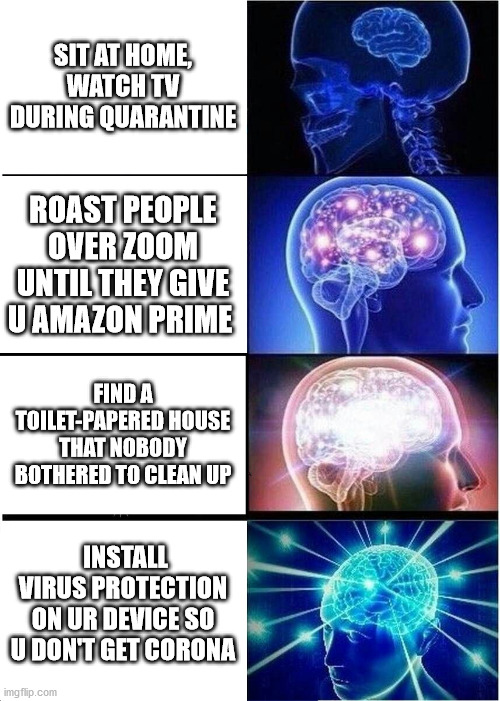 Expanding Brain | SIT AT HOME, WATCH TV DURING QUARANTINE; ROAST PEOPLE OVER ZOOM UNTIL THEY GIVE U AMAZON PRIME; FIND A TOILET-PAPERED HOUSE THAT NOBODY BOTHERED TO CLEAN UP; INSTALL VIRUS PROTECTION ON UR DEVICE SO U DON'T GET CORONA | image tagged in memes,expanding brain | made w/ Imgflip meme maker