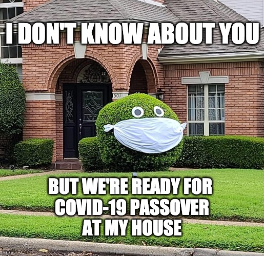 Ready For COVID-19 Passover | I DON'T KNOW ABOUT YOU; BUT WE'RE READY FOR 
COVID-19 PASSOVER
AT MY HOUSE | image tagged in covid-19,passover,mask,masks | made w/ Imgflip meme maker