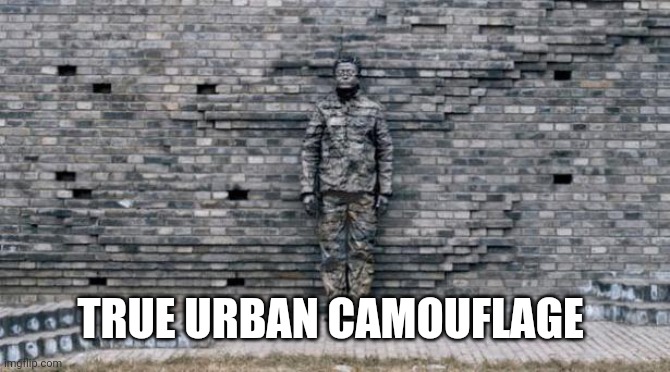 camouflage wall | TRUE URBAN CAMOUFLAGE | image tagged in camouflage wall | made w/ Imgflip meme maker